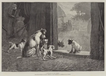 Eine Schande für seine Familie